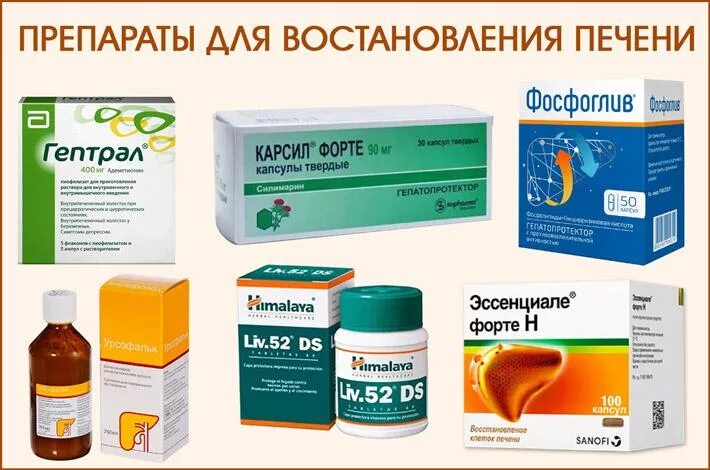 Препарат для восстановления печени после лекарств