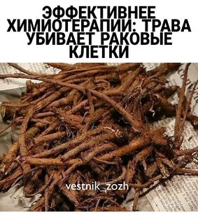 Убитый травой