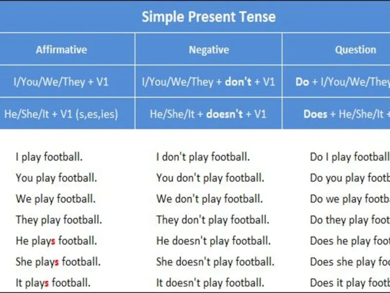 Questions did you like. The simple present Tense. Present simple Tense примеры. Презент Симпл тенс. Вопросы в the present simple Tense.