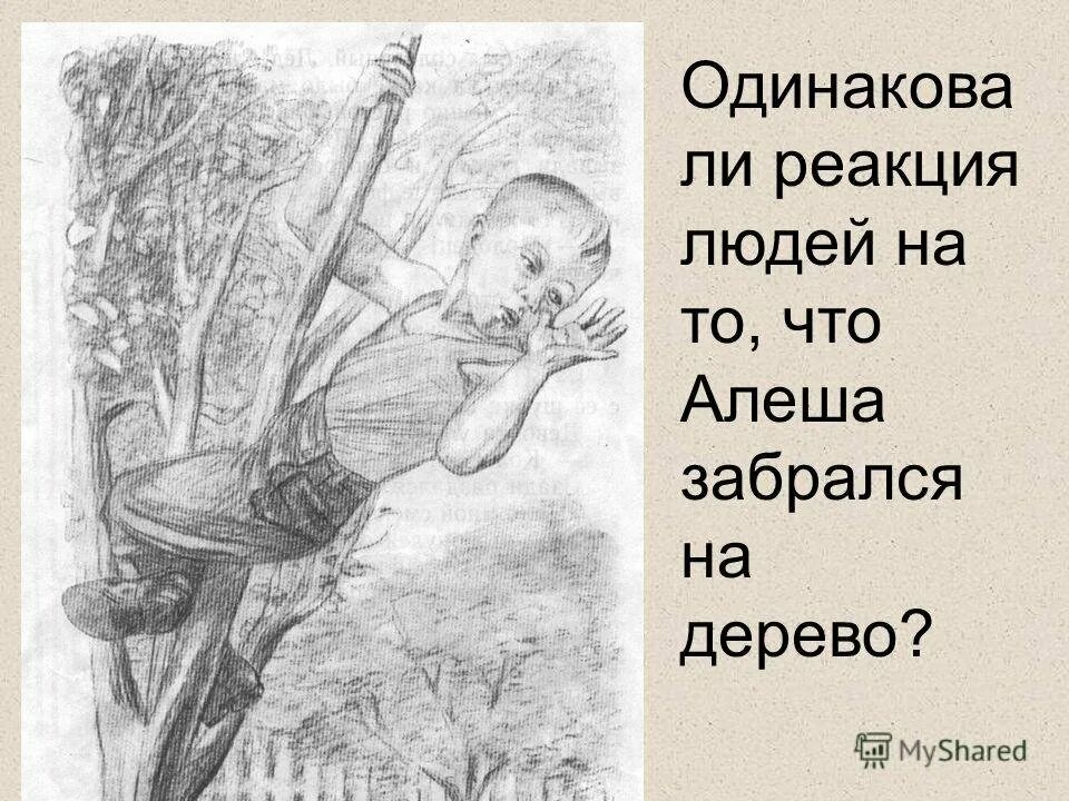 Рассказ большая береза. Большая берёза Артюхова рисунок. Рассказ Артюховой большая береза.