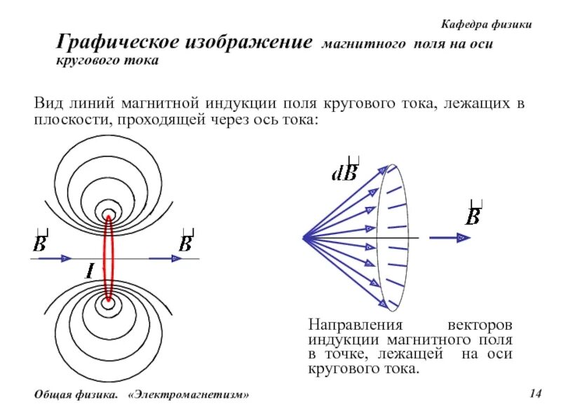 Магнитное поле на оси кольца. Направление вектора магнитной индукции. Вектор магнитной индукции прямого проводника с током. Магнитное поле кругового витка с током. Направление вектора магнитной индукции в магните.