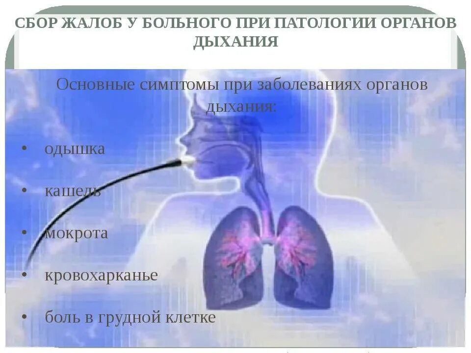 Дыхание и память читать. Симптомы при болезнях органов дыхания. Заболевания органов дыхательных путей. Симптомы заболеваний органов дыхания. Симптомы при заболеваниях органов дыхания.