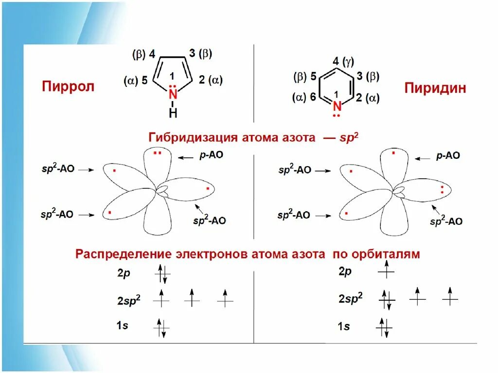 Атом азота в sp2 гибридизации. Sp2 гибридизация азота. Атомы азота в состоянии sp2- гибридизации. Орбитали азота схема.