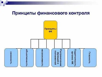 Принципы контрольной деятельности финансового контроля
