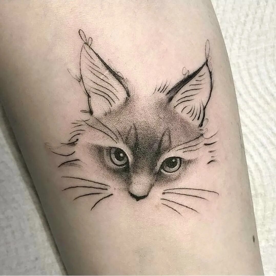 Тату на руку девушке кошка. Тату кошка. тату кошки для девушек. тату кошка на руке для девушек. тату кошка эскизы.