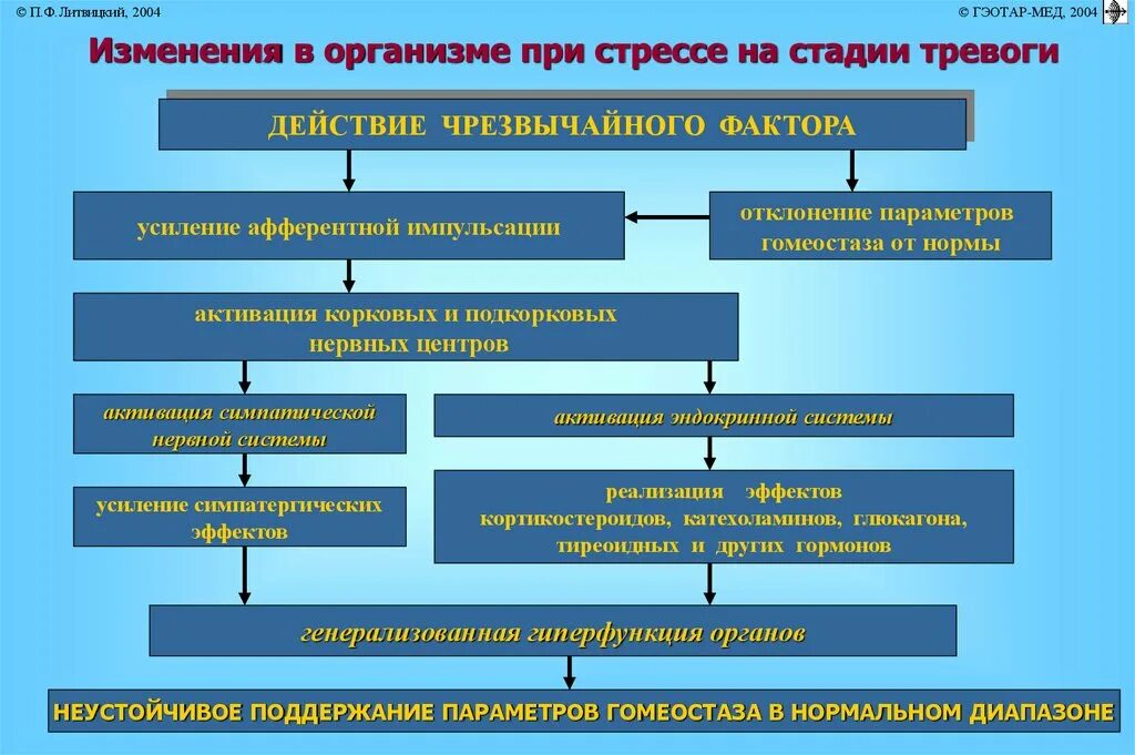 Стресс процессы в организме. Изменения в организме при стрессе. Перечислите однотипные изменения в организме при стрессе. Изменения в организме при стрессе на стадии тревоги. Физиологические изменения при стрессе.