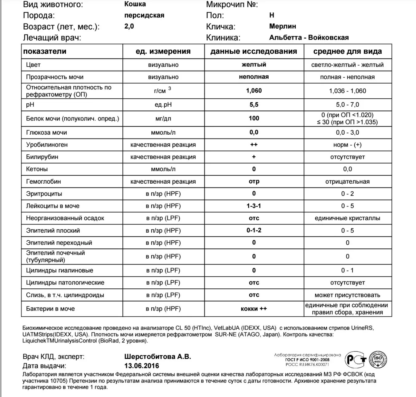 Лейкоциты в моче 4-0. 770 Лейкоциты в моче. Эритроциты в моче 6 нормы. Лейкоциты и эритроциты в моче показатели нормы. Лейкоциты качественно что это значит