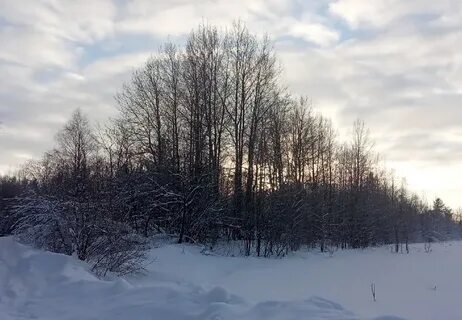 Петрозаводск тепло