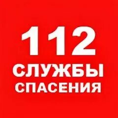 Служба спасения для ковров и шуб