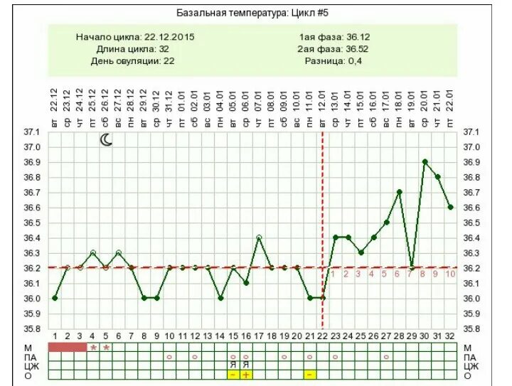 Беременные графики базальной температуры примеры. График БТ при беременности. Какая температура базальная при задержке