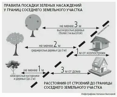 Нормативы расположения построек на участке. Санитарно-защитная зона (сзз). Санитарные нормы границ. Санитарные нормы границ. Нормы размещения построек на земельном участке.