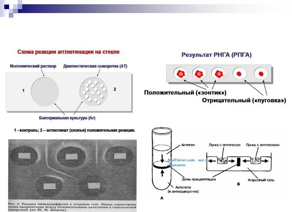 Серологические исследования реакции агглютинации. Реакция агглютинации это серологическая реакция. Реакция агглютинации Пробирочная микробиология. Серологическая реакция агглютинации схема. Методы реакции агглютинации