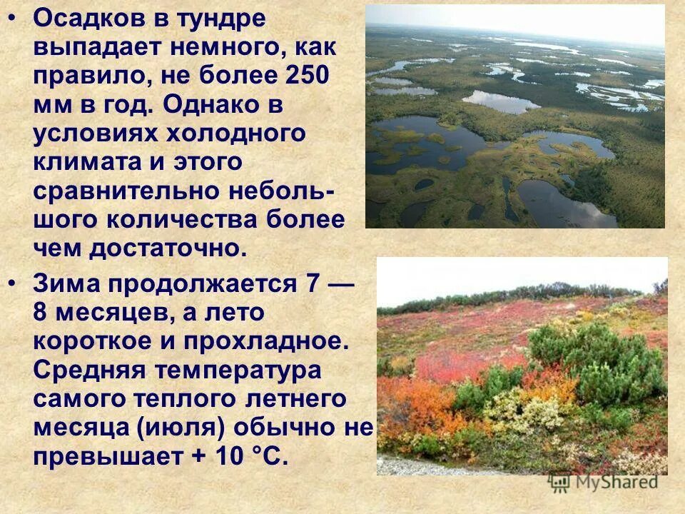 Осадки в тундре. Тундра климат осадки. Осадки в тундре и лесотундре. Зона тундры осадки.