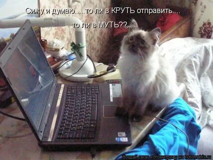 Ну не отвлекаешь