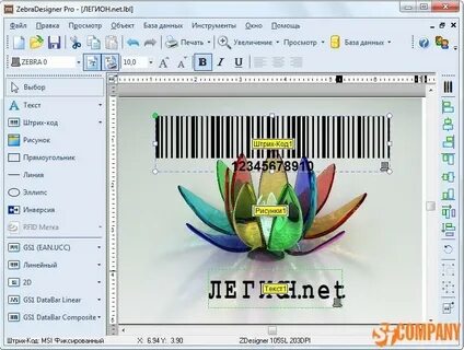 Zebra designer