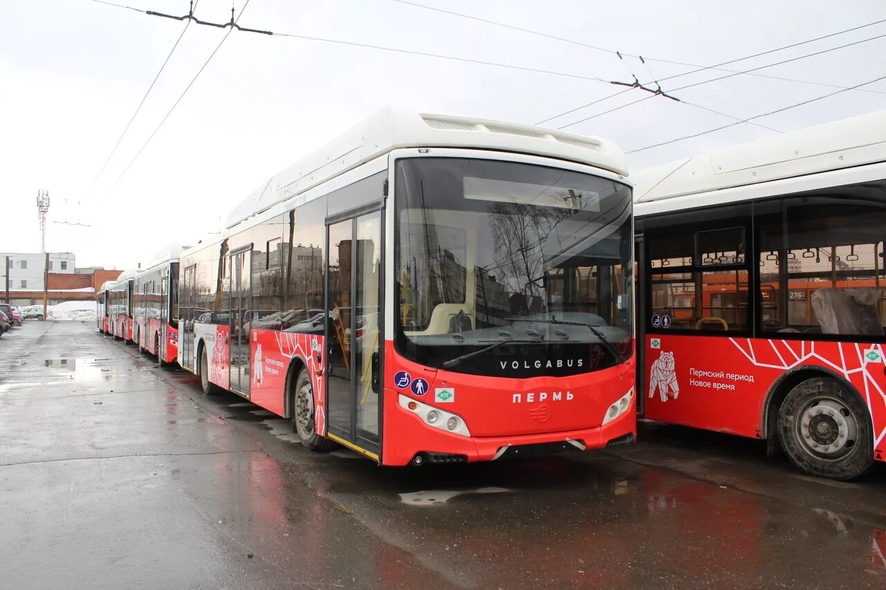 Автобус пермь ляды 34. Автобус Пермь Волгабас. Пермский автобусы Волго бас. VOLGABUS 5270т. Волгабас автобус Пермские автобусы.