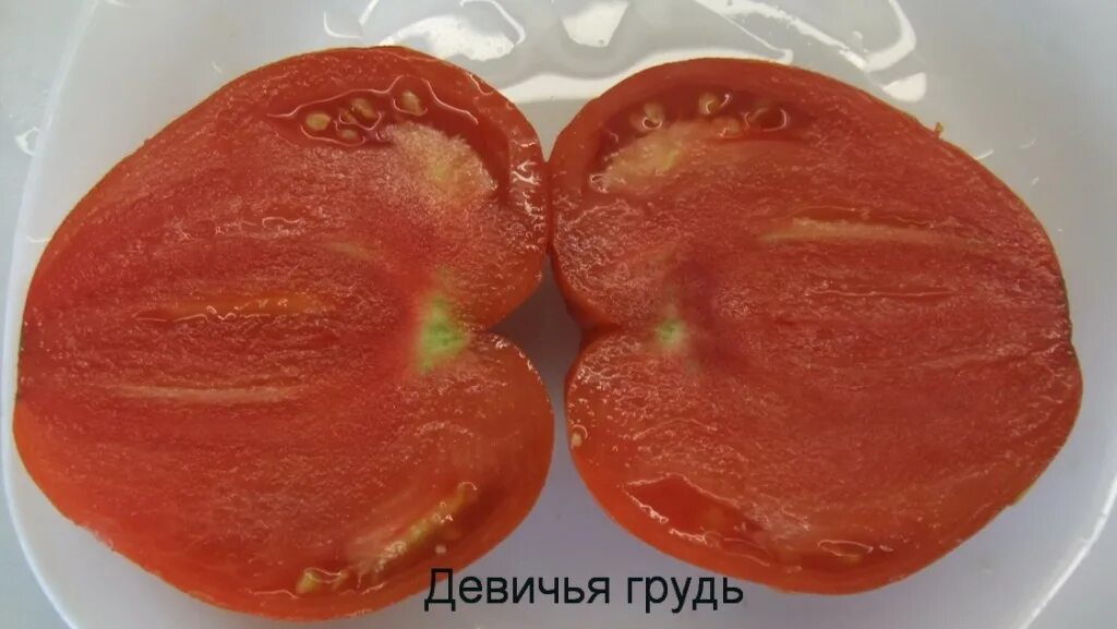 Помидоры девичья. Сорт помидор полным полно. Девичье сердце 20шт томат (сиб сад). Томат малиновая рапсодия. Аэлита томат девичьи сердечки.