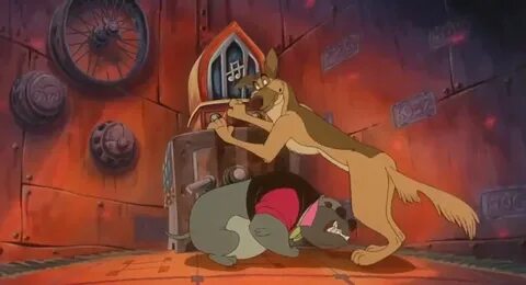 Dogs go home