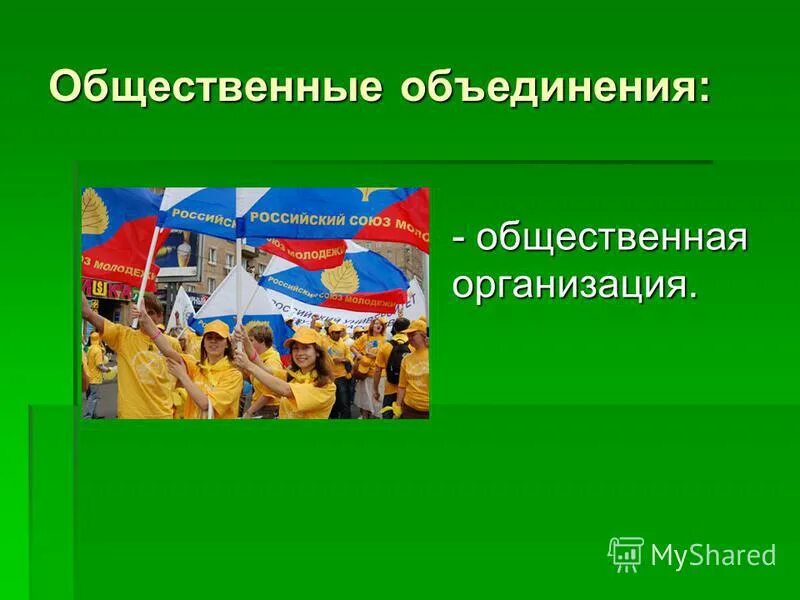 Программа молодежь россии. Общественные объединения в школе примеры. Программа молодежные общественные организации. Программа молодежные общественные организации. Внедрение программ профилактики.