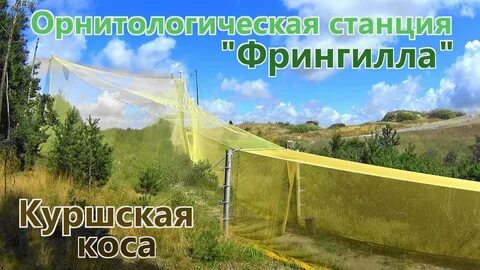 Экскурсия на орнитологическую станцию