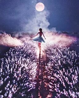 Luna lavand