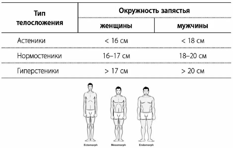 Определение типа телосложения. Тип телосложения по массе росту. тип телосложения по запястью. вес по типу телосложения. рост тип телосложения человека.