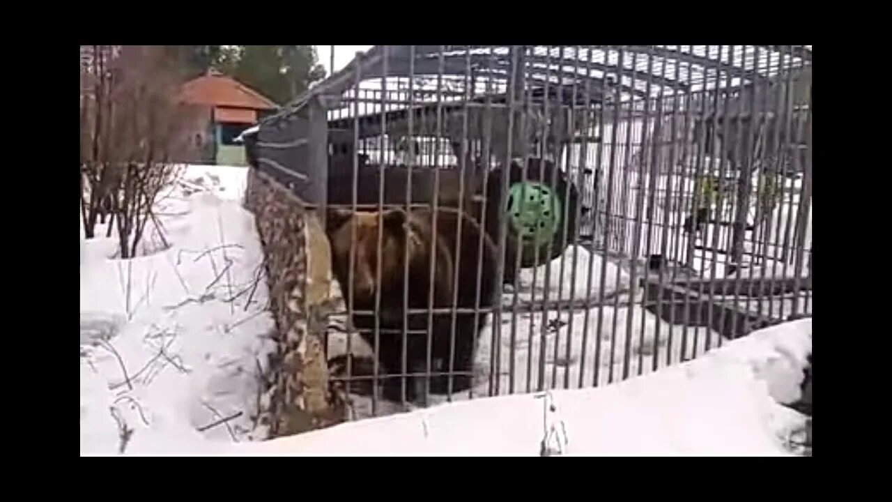 Не лезет м