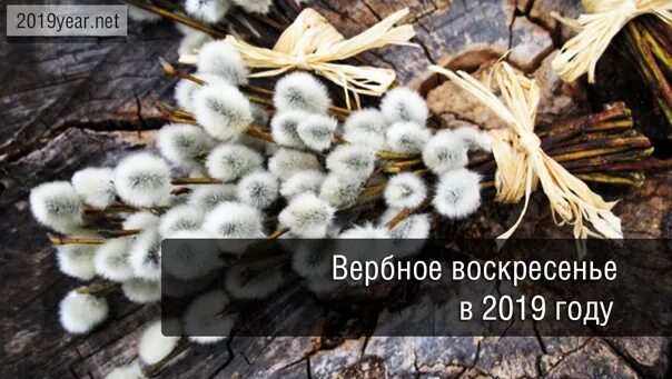 Какого числа вербное и пасха в 2024. Вербное воскресенье 2019. С Вербным воскресеньем 22 год. Какого числа Вербное. Вербное в 2019 году какого.