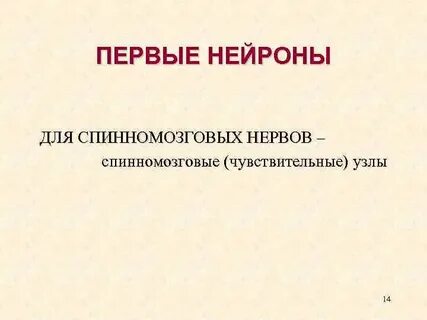 Первый нейрон