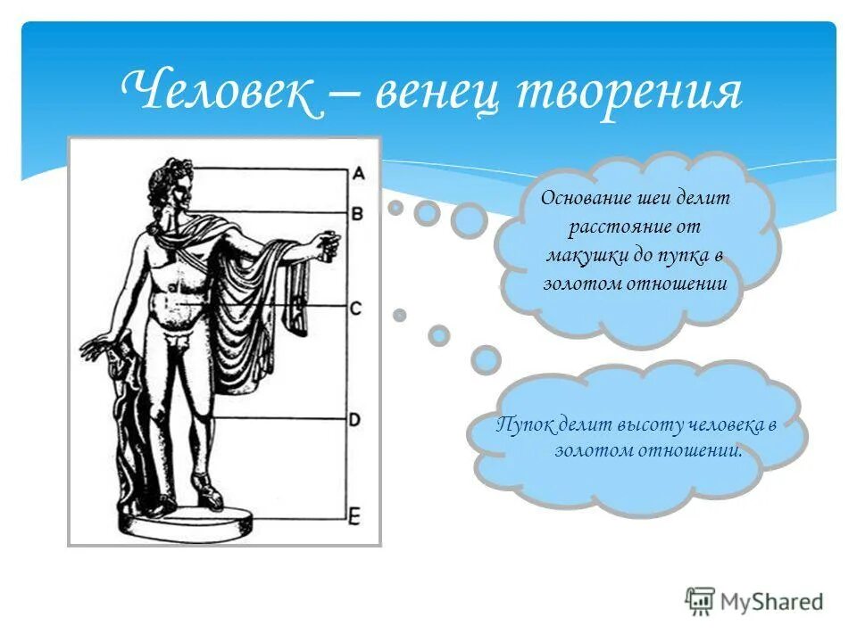 венец творения природы. человек не венец природы. венок творения. человек венец творения природы. человек венец творения.