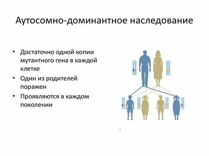 Что такое доминантный признак ген