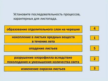 Порядок процессов вызывающих