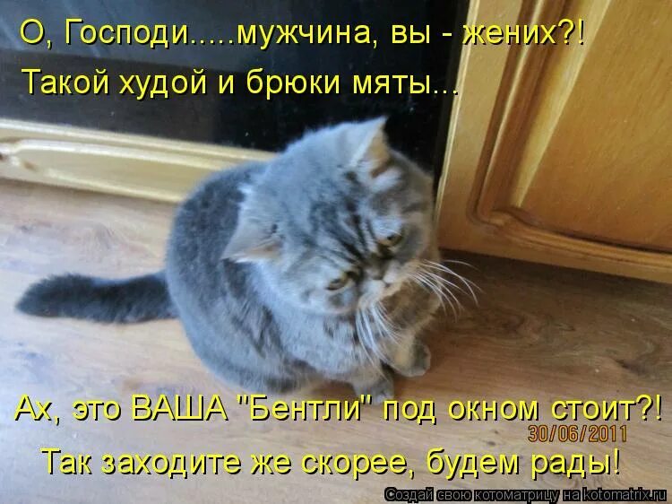 а из нашего окошка мем. кот пришел. скоро там весна. смешные коты с надписями. не стучите у кошки есть ключи.