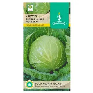 Капуста июньская описание сорта