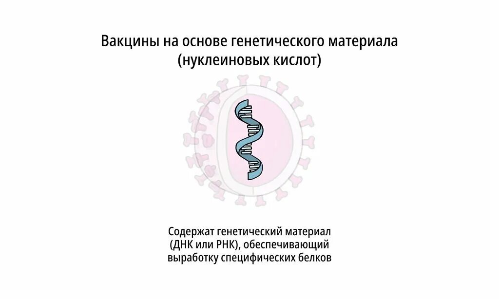 Вакцины на основе нуклеиновых кислот. РНК-вакцина. МРНК вакцина. Генетический материал.