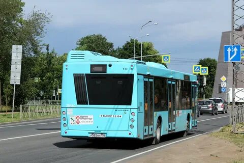 Маршрут 481 автобуса спб