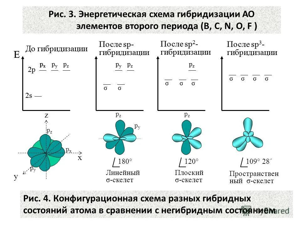 Молекула с гибридизацией sp и sp2. Как определить гибридизацию. Как определить тип гибридизации. Укажите тип гибридизации. 2.