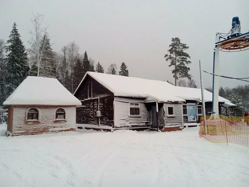 Лозаски фото