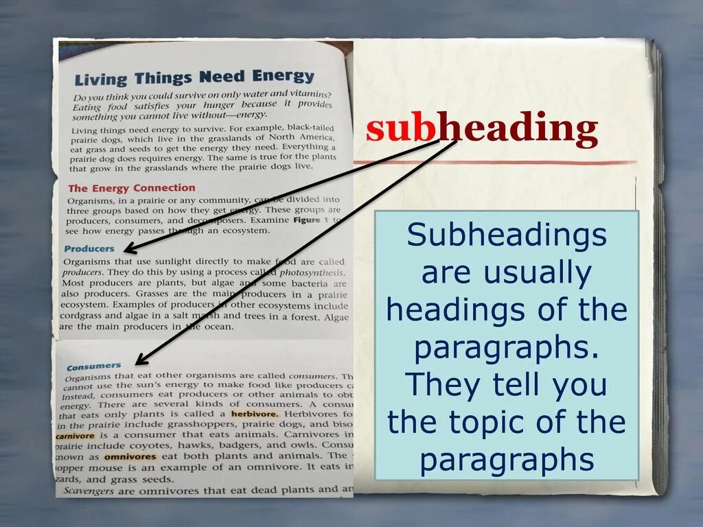 Heading. Subheadings. Heading Subheading. Headings предложение.