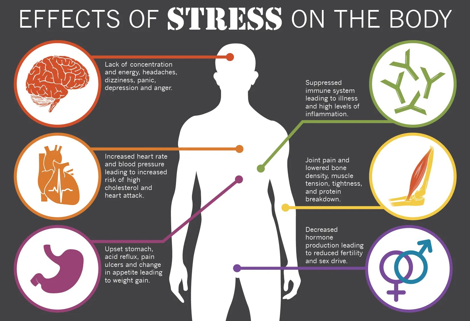 The system seems. Effects of stress. How stress affects our bodies. Stress Effect on body. The Symptoms of stress картинки.