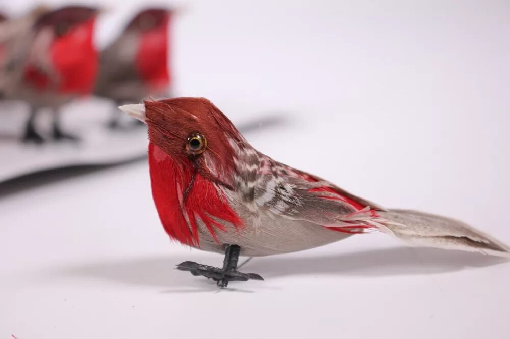 Группа красные птицы. Серо красная птица. Искусственные птички. Коллекция птиц красное и белое. Птица с красным мешком.