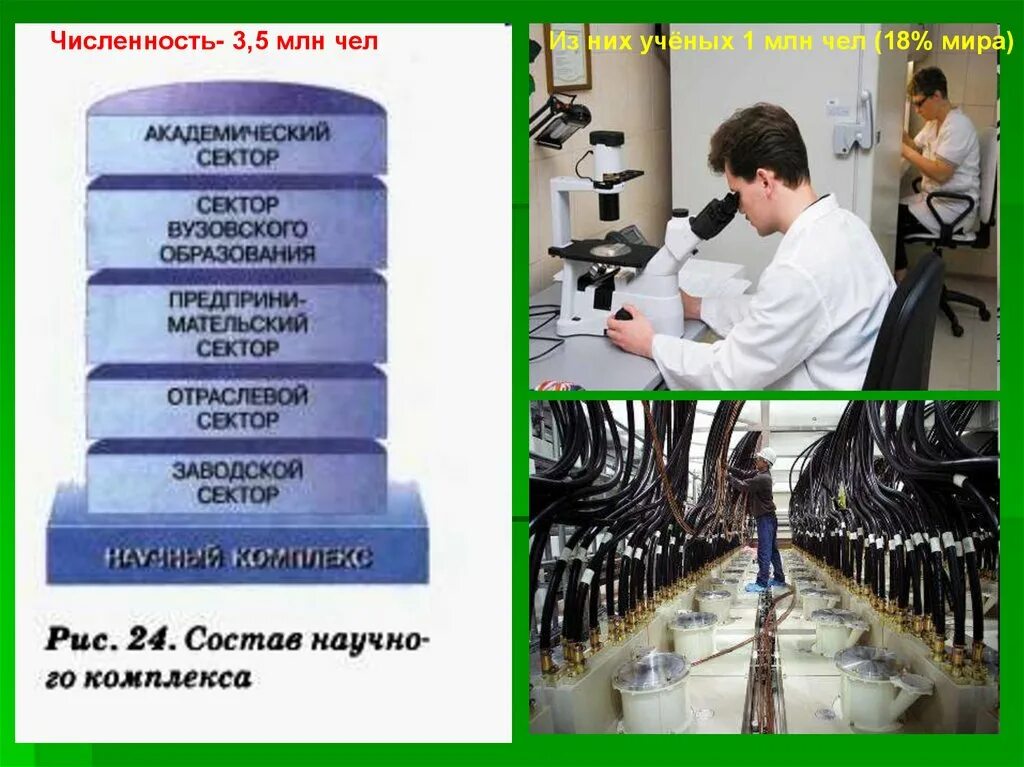 Отраслевой сектор научного комплекса. Отрасли научного комплекса. Научный комплекс география. Научный комплекс предприятие. Научный комплекс предприятие.