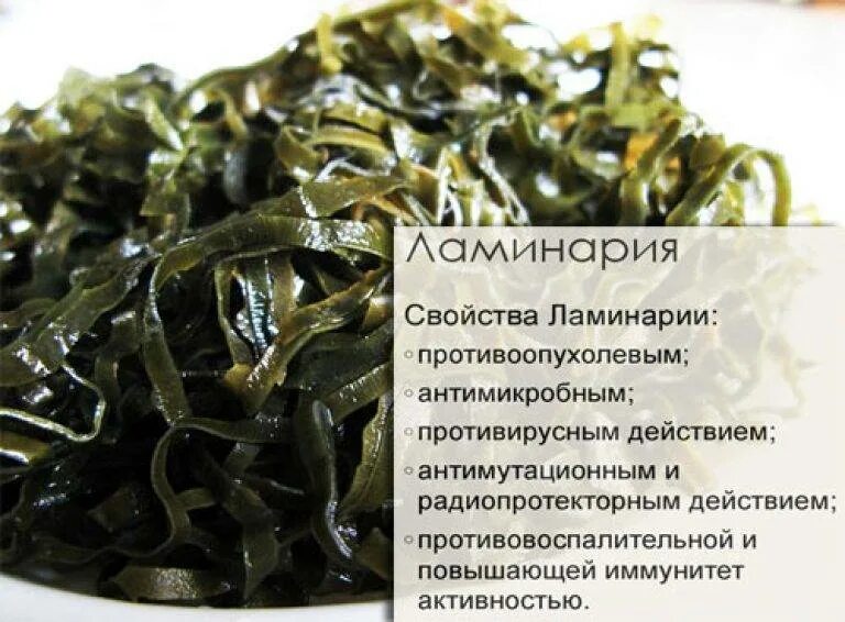 Морскую капусту полезно есть