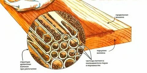 Древесина волокна какая ткань