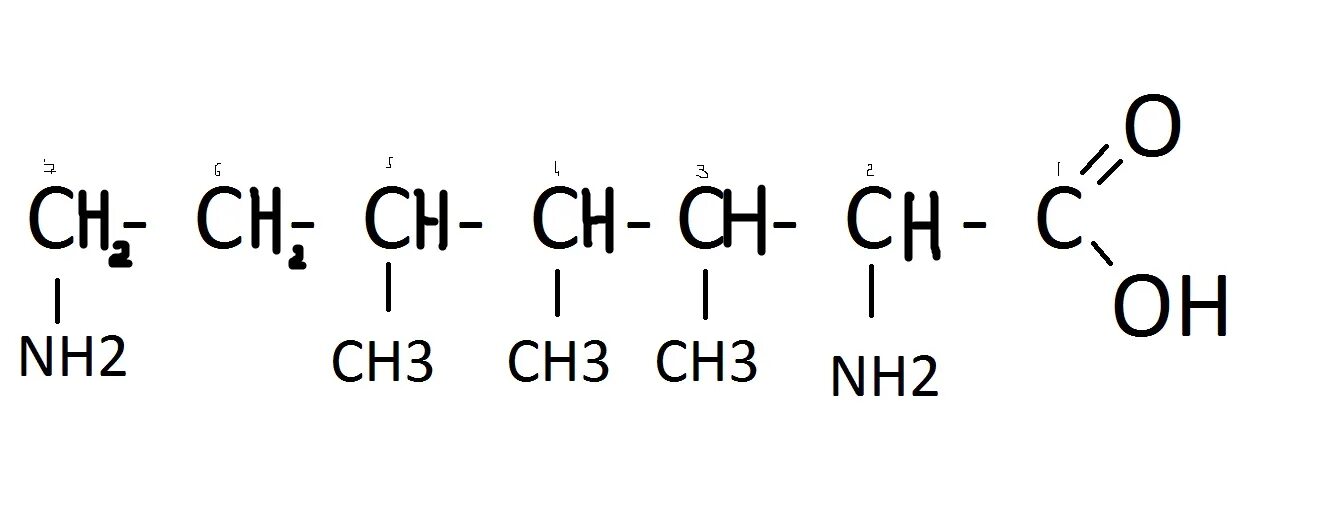 Stanleo 2.3