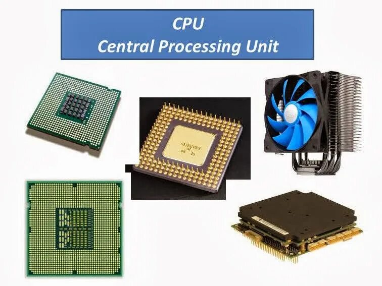 Центральный процессор(CPU-Central Processor Unit). Processor (Central processing Unit, CPU). CPU - Central Processor Unit. Процессор для презентации. Process процессор