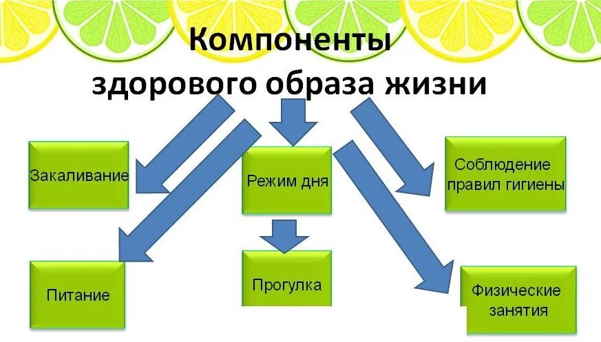 Составляющие картинка. Компоненты ЗОЖ. Элементы здорового образа жизни. Компетенты здорового образа жизни-. Составляющие здорового образа жизни.