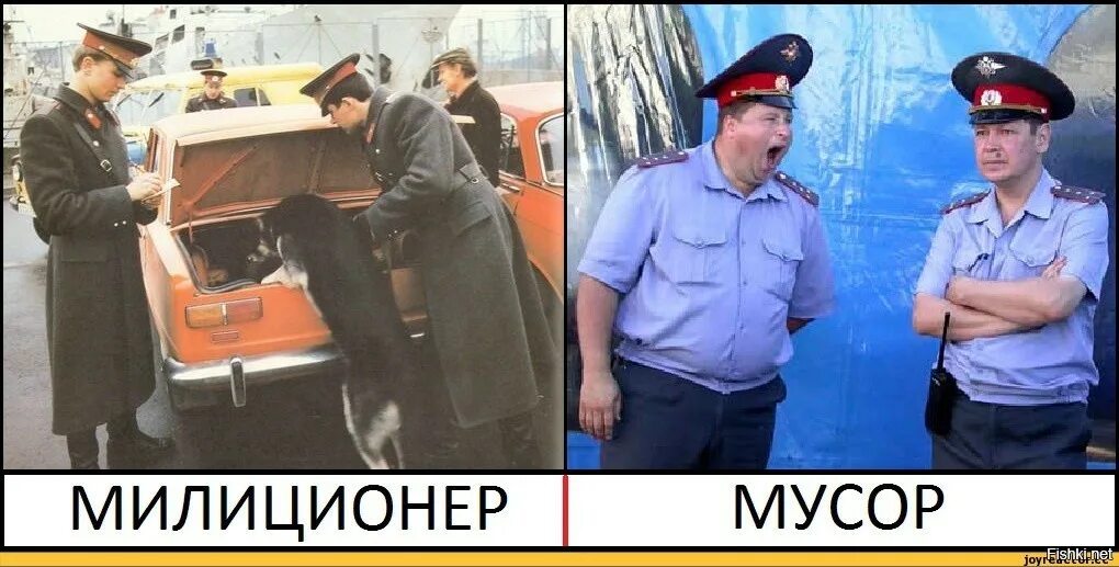 Платина дал менту на лапу. Милиция и полиция.