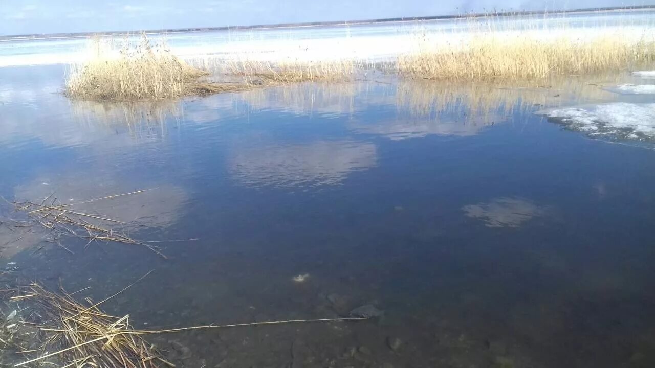 Рыба в челябинских озерах. Озеро Шугуняк Челябинская область. Озеро Кунашак Челябинская область. Озеро Кунашак рыба. Озеро Чебакуль Челябинск.