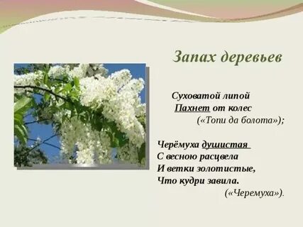 Стих черемуха 3 класс